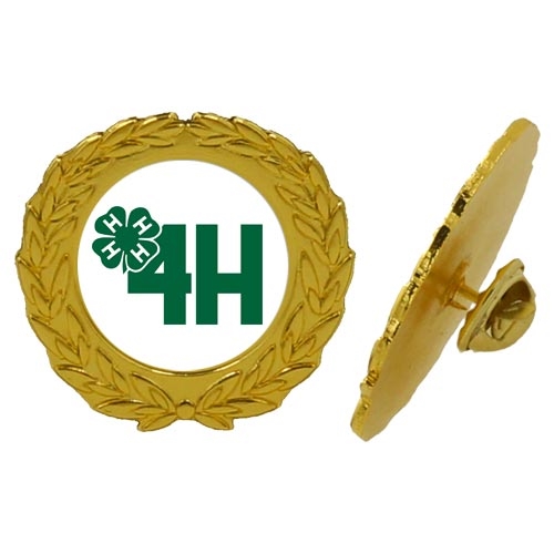 Pins med eget logo guld eksempel