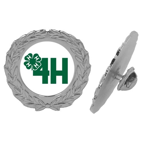 Pins med eget logo sølv eksempel