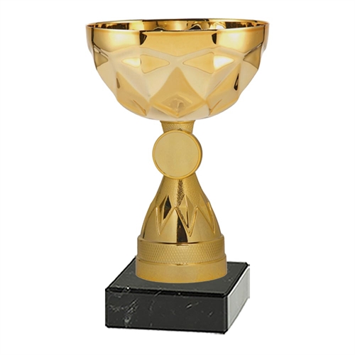 Pokal Bristol guld 160mm