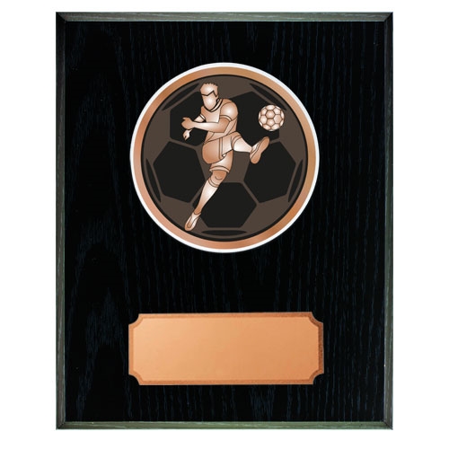 Træplakette med disc - fodbold herre